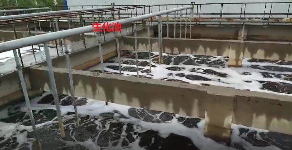 &aelig;&micro;™&aelig;��Ÿ&aelig;&sup1;�C&aring;��ž&aelig;Ÿ&ccedil;š&reg;��&copy;&aring;Ž‚&aring;&ordm;Ÿ&aelig;��&acute;&aelig;��&sup1;���&nbsp;&aelig;&iexcl;ˆ&auml;&frac34;‹